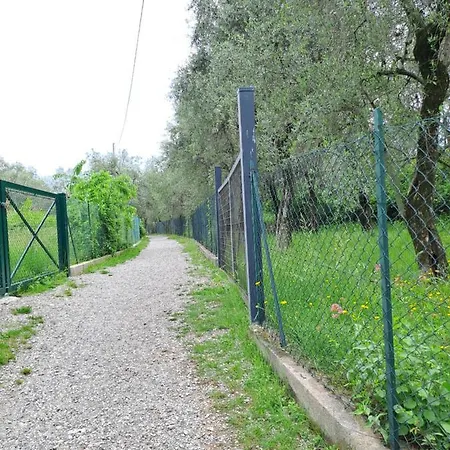 Apartment Ciclamino *